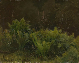 Study of Ferns - Hans Gude — artwork view