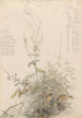 Tyrihjelm Billerud at Toten - Hans Gude — artwork view