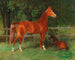 Chestnut tree with a foal in the meadow - Hans Haag — artwork view