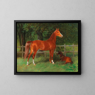Chestnut tree with a foal in the meadow - Hans Haag — framed artwork on a wall