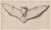 Bat with outstretched wings - Hans Holbein the Younger — artwork view