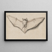 Bat with outstretched wings - Hans Holbein the Younger — framed artwork on a wall