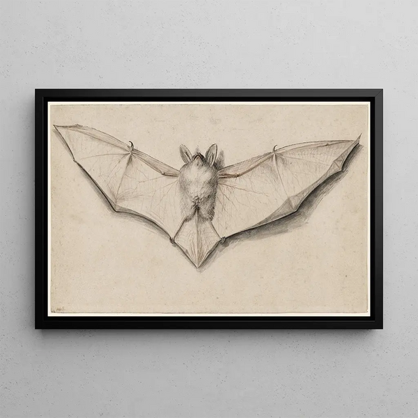 Bat with outstretched wings - Hans Holbein the Younger — framed artwork on a wall