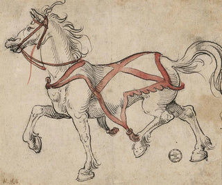 Draft Horse - Hans Holbein the Younger — artwork view