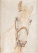 White Horse - Hans Kohlschein — artwork view