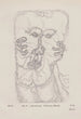 Apparition aérienne Hallucination Crayon - Hans Prinzhorn — artwork view