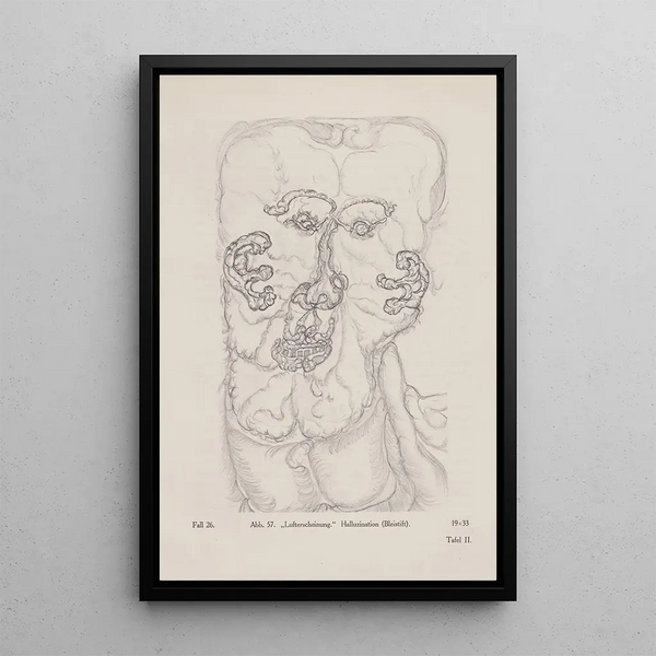 Apparition aérienne Hallucination Crayon - Hans Prinzhorn — framed artwork on a wall