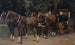 A four-horse team - Hans Sandreuter — artwork view
