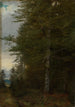 Beech at Forest Edge - Hans Thoma — artwork view