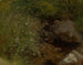 Woman by the water's edge - Hans Thoma — artwork view
