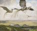 Bird Wonderful - Hans Thoma — artwork view