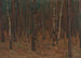 Forest Interior Painting - Hans Tichy — artwork view