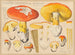 Amanita caesarea Scop - Hans Baldung — artwork view