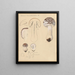 Amanite carieuse - Hans Baldung — framed artwork on a wall
