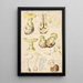 Amanite citrine Schaeffer - Hans Baldung — framed artwork on a wall