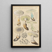 Amanite echinocephala - Hans Baldung — framed artwork on a wall
