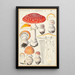 Amanite tue-mouches L - Hans Baldung — framed artwork on a wall