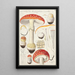 Amanite tue-mouches Linné - Hans Baldung — framed artwork on a wall