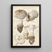 Amanite strobiliformis - Hans Baldung — framed artwork on a wall