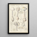 Amanite vireuse - Hans Baldung — framed artwork on a wall