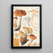 Honey-colored Armillaire Painting Wahl - Hans Baldung — framed artwork on a wall