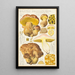 Bolet aqueux - Hans Baldung — framed artwork on a wall