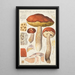 Bolet orangé Bull - Hans Baldung — framed artwork on a wall