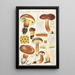 Bolet bai Fries - Hans Baldung — framed artwork on a wall