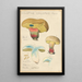 Boletus calopus - Hans Baldung — framed artwork on a wall