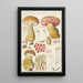 Boletus felleus Bull - Hans Baldung — framed artwork on a wall