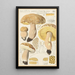 Boletus impolitus Fr reticulatus - Hans Baldung — framed artwork on a wall