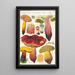 Boletus luridus Schaeffer - Hans Baldung — framed artwork on a wall