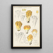 Clavaria aurea Schff - Hans Baldung — framed artwork on a wall