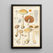 Deliberate Cortinaire Painting - Hans Baldung — framed artwork on a wall