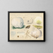 Globaria bovista and Calvatia maxima - Hans Baldung — framed artwork on a wall