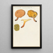 Gyrodon sistotrema Fr - Hans Baldung — framed artwork on a wall