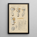 Helvelle Crinkled Painting - Hans Baldung — framed artwork on a wall