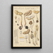 Helvelle Elastic Painting - Hans Baldung — framed artwork on a wall