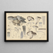 Hygrophorus marzuolus Fr - Hans Baldung — framed artwork on a wall