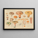 Lactarius deliciosus L - Hans Baldung — framed artwork on a wall