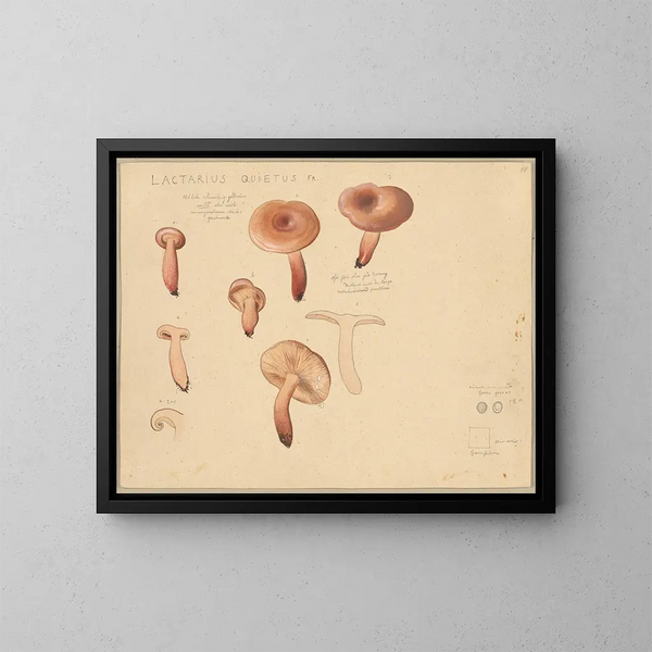Silent Lactarius Painting - Hans Baldung — framed artwork on a wall