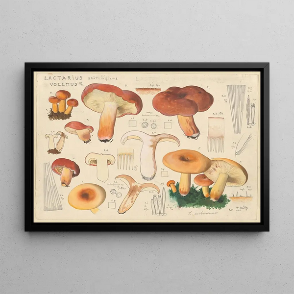 Delicious Lactaire Painting - Hans Baldung — framed artwork on a wall