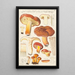 Lactaire à lait abondant Fries - Hans Baldung — framed artwork on a wall