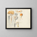 Limacium pudorinum - Hans Baldung — framed artwork on a wall