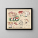 Limacium russula - Hans Baldung — framed artwork on a wall