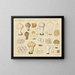 Lycoperdon gemmatum var. perlatum - Hans Baldung — framed artwork on a wall