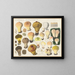 Lycoperdon mammaeforme - Hans Baldung — framed artwork on a wall