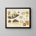 Lycoperdon papillatum - Hans Baldung — framed artwork on a wall