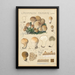 Lycoperdon piriforme - Hans Baldung — framed artwork on a wall
