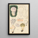 Lycoperdon velatum - Hans Baldung — framed artwork on a wall